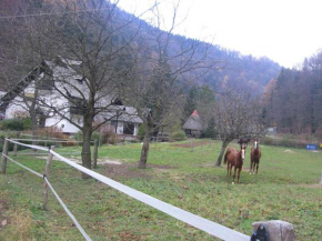 Apartments Gubanec